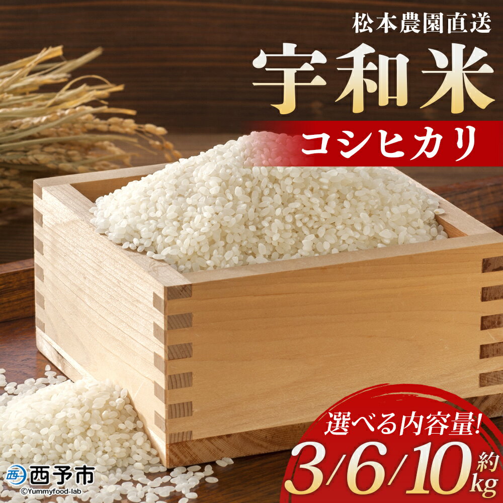 【ふるさと納税】新米＜令和7年産 松本農園直送 宇和米（コシヒカリ）約3kg／6kg／10kg＞ こしひかり 米 コメ こめ 白米 精米 うわまい ご飯 新鮮 3キロ 6キロ 10キロ 選べる お弁当 朝 昼 夜 国産 特産品 愛媛県 西予市【常温】『2025年9月下旬～12月下旬迄に順次出荷予定』