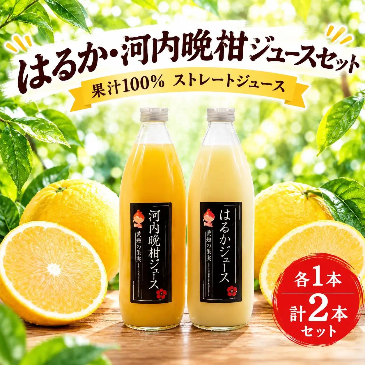 果汁100% ストレートジュース はるかジュース 河内晩柑ジュース 各1本 計2本 セット (1000ml×2本) 7000円 数量限定 期間限定 高級 贈答 ギフト プレゼント 母の日 おやつ 国産 フルーツ 果物 柑橘 産地直送 農家直送 特産品 完熟 濃厚 人気 限定 甘い こどもの日 ジューシー 新鮮 果実 さわやか 愛媛県 愛南町 あいなんマザーズ 