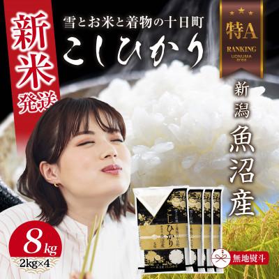 ふるさと納税 十日町市 【令和8年産 新米】 無地のし 魚沼産 コシヒカリ 8kg (お米の美味しい炊き方ガイド付き)