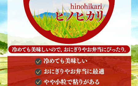 奈良県産 ヒノヒカリ 精米 5kg | 米 精米 ヒノヒカリ もちもち 奈良県 五條市