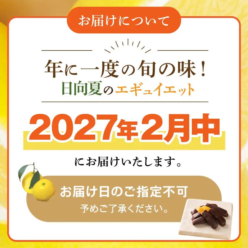 日向夏のエギュイエット〔LDK-C2-002〕_(都城市) 日向夏 エギュイエット チョコレート菓子 スイーツ 贈り物 2027年2月中にお届け