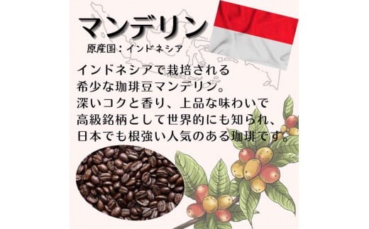 【定期便】自家焙煎 人気珈琲豆 3種セット（6か月）（挽き） 豆の状態：挽き