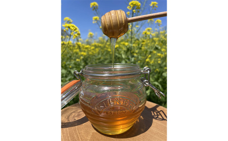 市原みつばち牧場天然はちみつ3本セット 蜂蜜  百花蜜