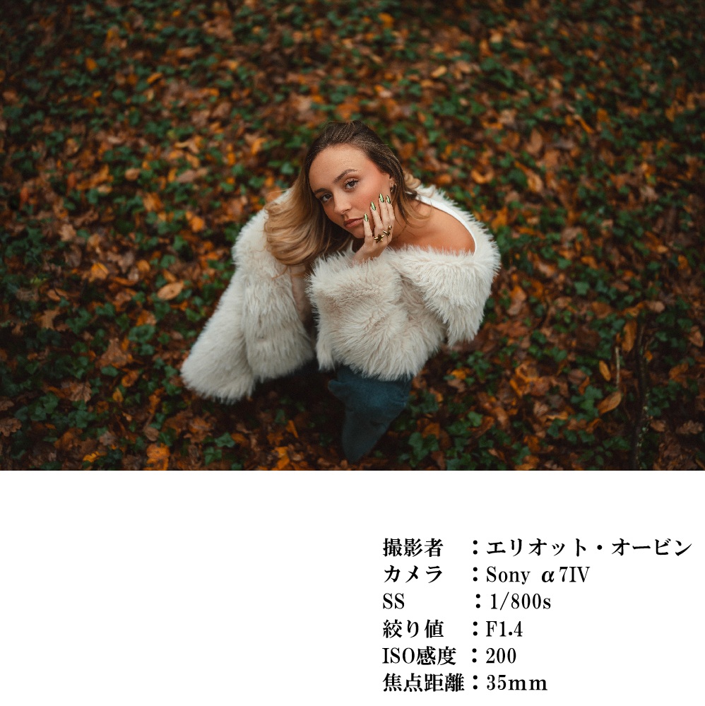 SIGMA 35mm F1.4 Ⅱ| Art【ソニーEマウント】カメラ　レンズ　家電