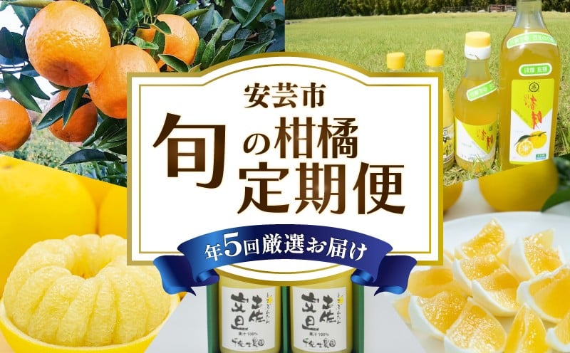
            【 5回 定期便 】柑橘 定期便 高知 みかん 文旦 小夏 ぽんかん ゆず ジュース 人気 旬 果物 フルーツ 食べ比べ 加工品 常温 新鮮 産地直送 土佐文旦 ぶんたん 柑橘定期便 フルーツ定期便 果物定期便 高知県 安芸市
          