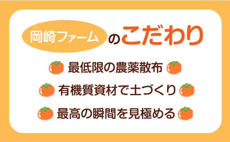 【先行予約】 ご家庭用 輝太郎柿 約3kg 岡崎ファーム《10月上旬-10月末頃出荷》鳥取県 八頭町 柿 かき カキ 輝太郎 果物 フルーツ