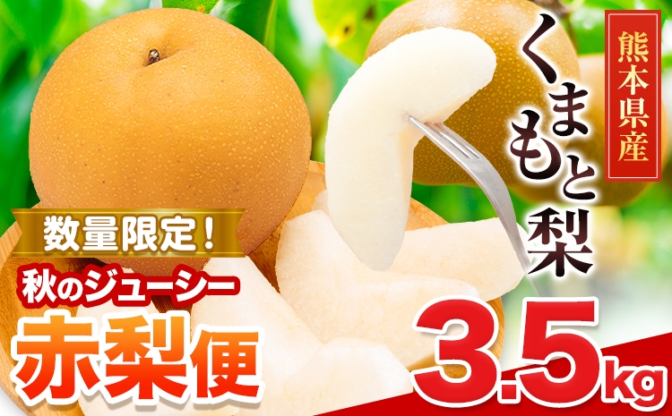 
                  梨 くまもと梨 秋 旬 なし 果物 くだもの フルーツ  送料無料 あきづき または 新高 ジューシー赤梨便 3.5kg 品種 熊本県産【着日指定不可】《8月下旬-11月中旬頃出荷》旬 果物 お取り寄せ ナシ
                