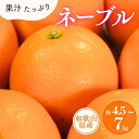 【ふるさと納税】 ネーブル 約4.5kg 約7kg / サイズおまかせ　※2025年1月中旬～2025年2月上旬頃順次発送予定(お届け日指定不可)紀伊国屋文左衛門本舗