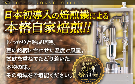 必ず出荷日に自家熟成焙煎ゲイシャ粉(640g)･ブルーマウンテン№.1粉(400g)【6回定期便】