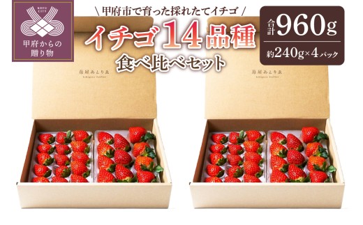 【2025-2026発送分】苺屋あとりゑイチゴ14品種食べ比べセット いちご イチゴ 苺 先行予約 食べ比べ セット ギフト 贈答 プレゼント 採れたて フルーツ 14品種 約240g×4パック 冷蔵 フルーツ王国山梨 甲府市産