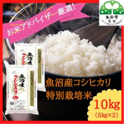 ふるさと納税 魚沼市 【令和8年産先行受付】お米アドバイザー厳選!魚沼産コシヒカリ 特別栽培米精米10kg(5kg×2袋)
