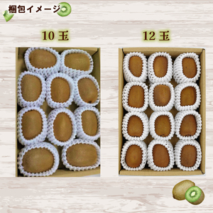 【2026年2月下旬から順次発送】グリーンキウイ 10～12玉入り （ 国産 愛媛キウイ フルーツ 果物 くだもの お取り寄せ 産地直送 数量限定 人気 おすすめ 愛媛県 松山市 送料無料 フジ・アグ