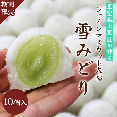 【ふるさと納税】【先行予約】シャインマスカットが丸ごと1粒入った　ぶどう大福「雪みどり」10個【配送不可地域：離島】【1203883】