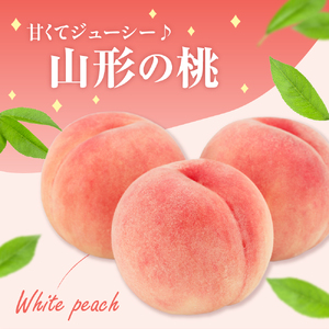 【先行予約】 数量限定 令和8年産 もも 5～7玉 品種 おまかせ 2026年8月中下旬～9月上旬頃 お届け予定