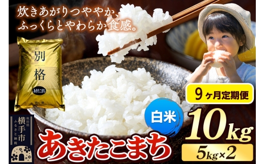 《令和7年産》《定期便9ヶ月》 米 あきたこまち 10kg（5kg×2袋） 【白米】 秋田県産 [米 コメ 白米 あきたこまち おいしい 美味しい]