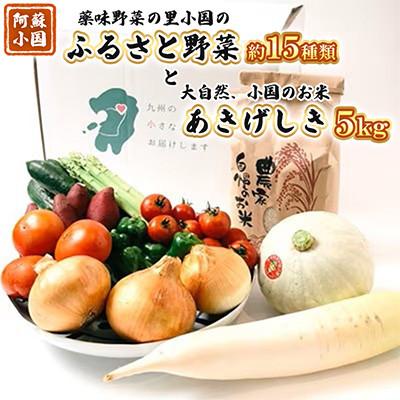 ふるさと納税 小国町 【阿蘇小国町】薬味野菜の里小国ふるさと野菜とお米(あきげしき)5kgの詰め合わせ