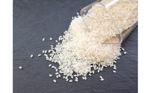 伊那市産 こしひかり 15kg｜ 米 コシヒカリ こしひかり 白米 ご飯 お米 伊那 伊那産 長野県 ふるさと納税 【039-04】