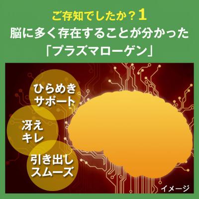 ふるさと納税 名古屋市 忘れたくないEX 高純度プラズマローゲン サプリ 60粒 3000mg  30日分 |  | 01