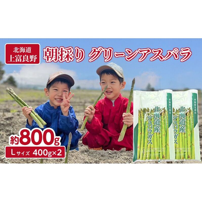 数量限定！【令和8年産】 アスパラガス 専門農家 の 特選 グリーンアスパラ 800g  Lサイズ 原農園 アスパラ 朝採りアスパラ 野菜 北海道 上富良野町