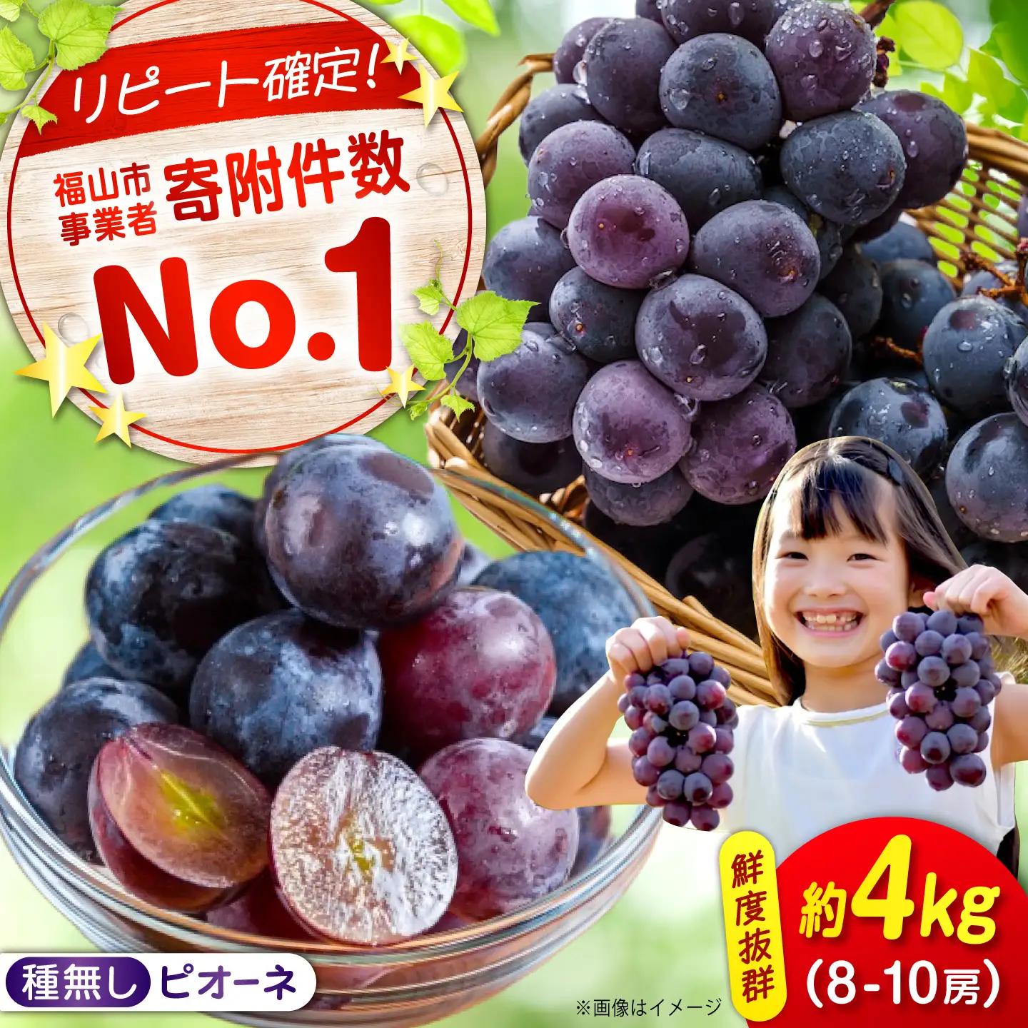 【期間限定/8月下旬から9月上旬頃発送】ピオーネ 約2kg×2 沼隈ぶどう [BAEV006] ぶどう