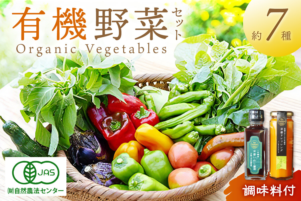 
            ＜てんとうむしばたけ＞オーガニック野菜&調味料セット　有機野菜6～7種、7種前後(2人用)＆調味料2種　BR00043・BR00014M
          
