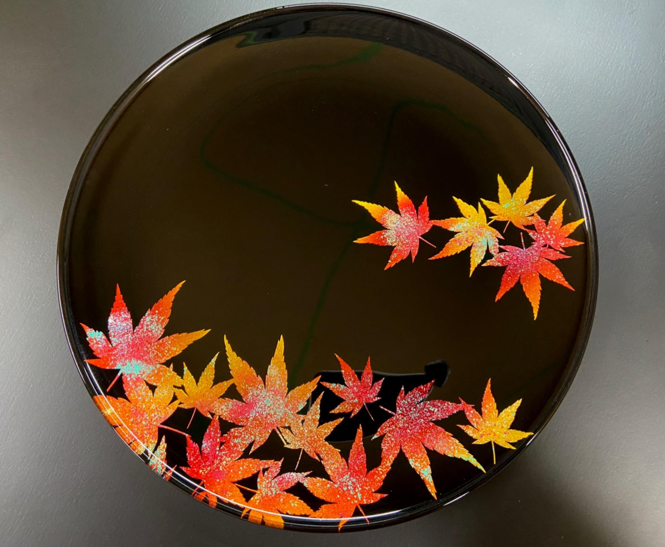 【全4回】 フラットプレートM 定期便 【 3月発送：墨桜純白 6月発送：花火マジョブルー 9月発送:紅葉漆黒 12月発送：マジョ銀箔ブルー 】【NF1】