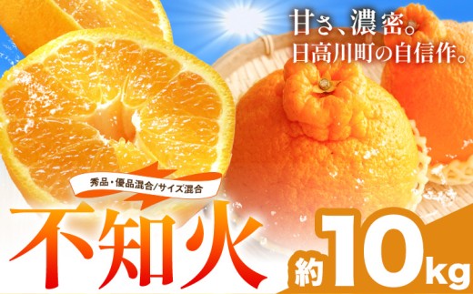 不知火 秀品・優品混合/サイズ混合 10kg 中畑農園《2026年1月下旬-2月末頃出荷》 和歌山県 日高川町 不知火 みかん ミカン 蜜柑 椪柑 フルーツ 果物 柑橘