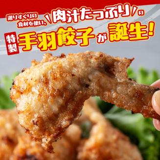 【12ヶ月定期便】宮崎 手羽ぎょうざ 16本 1kg　鶏肉餃子鳥ギョウザ手羽先ぎょうざ手羽餃子ぎょうざギョーザ定期便おつまみ餃子送料無料餃子 [E7214t12]