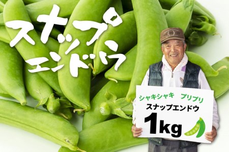 【2025年先行予約】飛騨 スナップエンドウ 1kg スナップえんどう国産 産地直送 野菜[Q719rex] syun169