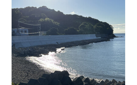 『干物屋さんが真心込めて作った』 ぶり 照り焼き 【20切】 / 魚 ぶり ブリ 鰤 焼き魚 便利 簡単 調理 時短 おかず 弁当  冷凍 真空 ストック  【knk003-h】