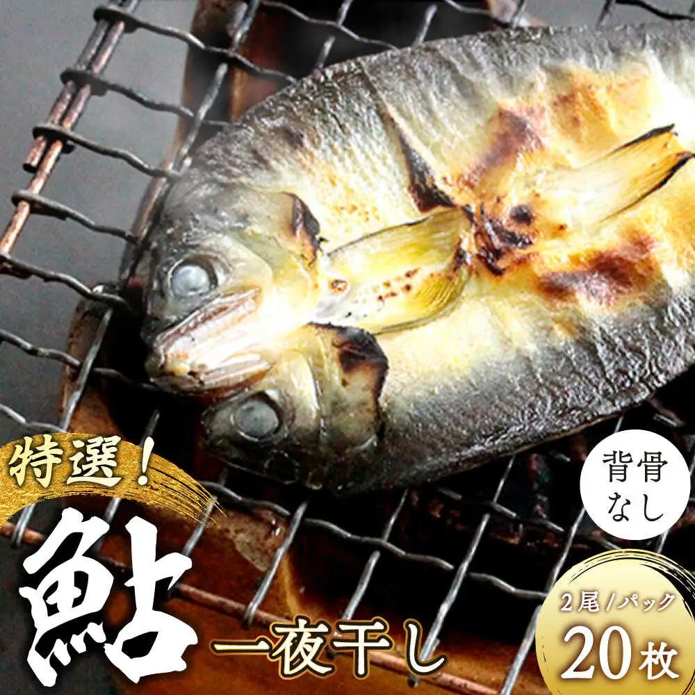 特選 びわこ 鮎 一夜干し 20枚(2尾/パック) 背骨なし[AQCC002] 鮎