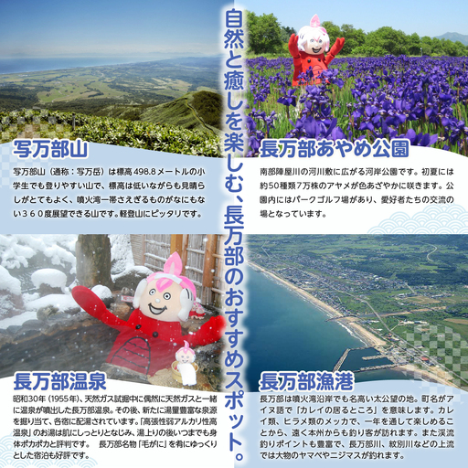 新感覚ショコラ NEW雪花青 濃厚生クリーム味&いちご味 5枚入×各4袋 OSMP005 | 雪花青
