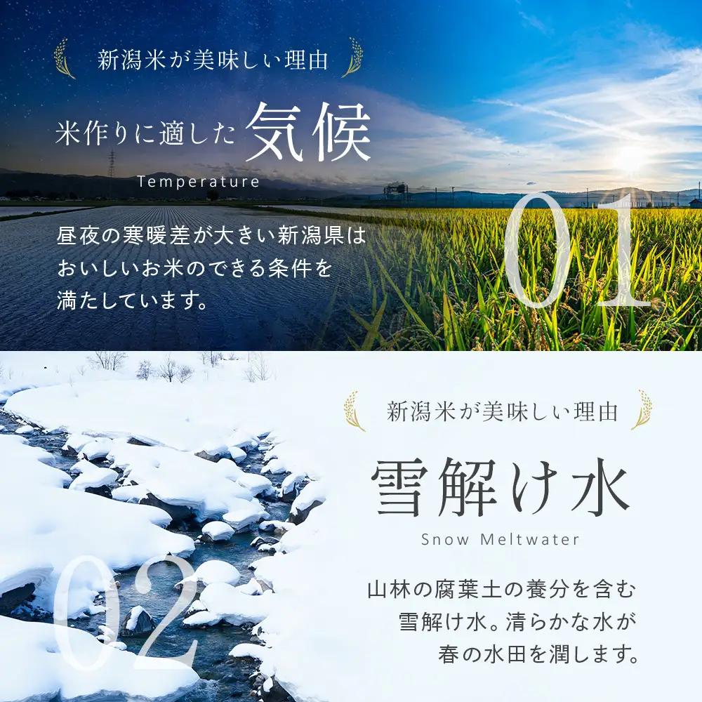 米 令和8年産【無洗米】新潟県産 コシヒカリ 2kg