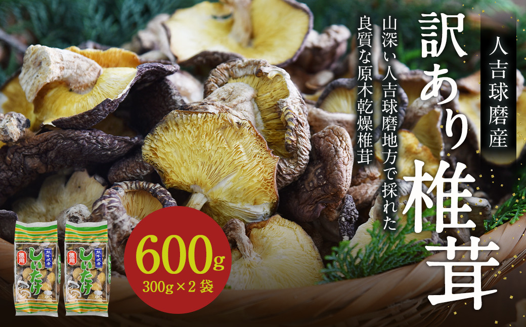 
人吉球磨産 しいたけ 訳あり 『業務用椎茸』 300g×2袋【計600g】 干し椎茸 干ししいたけ 乾椎茸
