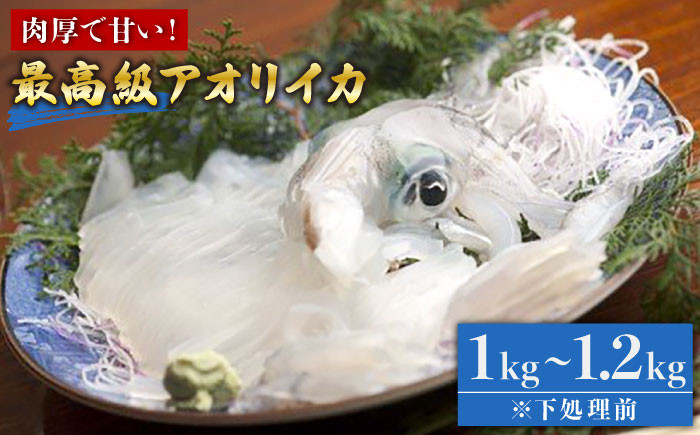 
            【肉厚で甘い・抜群の透明度】五島産 最高級 アオリイカ 1kg～1.2kg  五島市/マルセイ水産 [PBT003] 刺身 冷凍 いか 海鮮 あおりいか 海産物
          