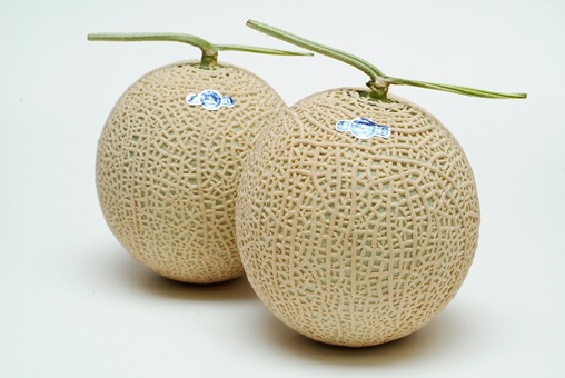 長生マスクメロン１箱６玉入（約９kg）【2026年夏発送分】