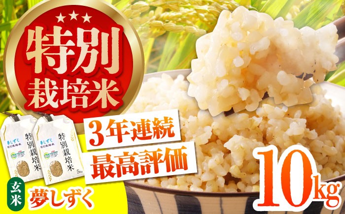 
                  令和7年産 特別栽培米「夢しずく」玄米10kg【だいちの家】佐賀 [HAG023]
                