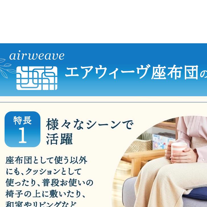 エアウィーヴ 座布団_イメージ4