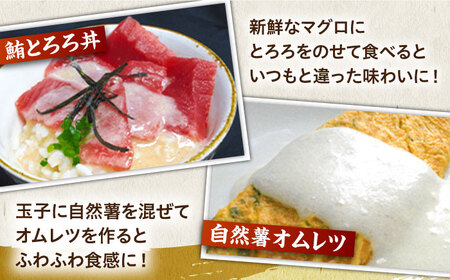 【全6回定期便】自然薯とろろ（醤油味）＜自然薯王国＞ 那珂川市 定期便 自然薯 とろろ 野菜 健康 個包装 そば お好み焼き 白米 92000 92000円 [GAH007]