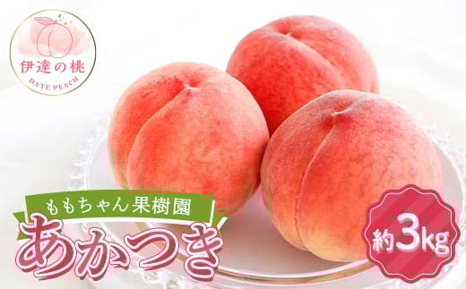≪2025年出荷分≫先行予約 ももちゃん果樹園の自慢の桃「あかつき」約3kg（7～9玉） 2025年7月下旬～2025年8月上旬発送 伊達の桃 福島県 伊達市 桃 もも モモ 果物 くだもの フルーツ 国産 食品 F21C-042
