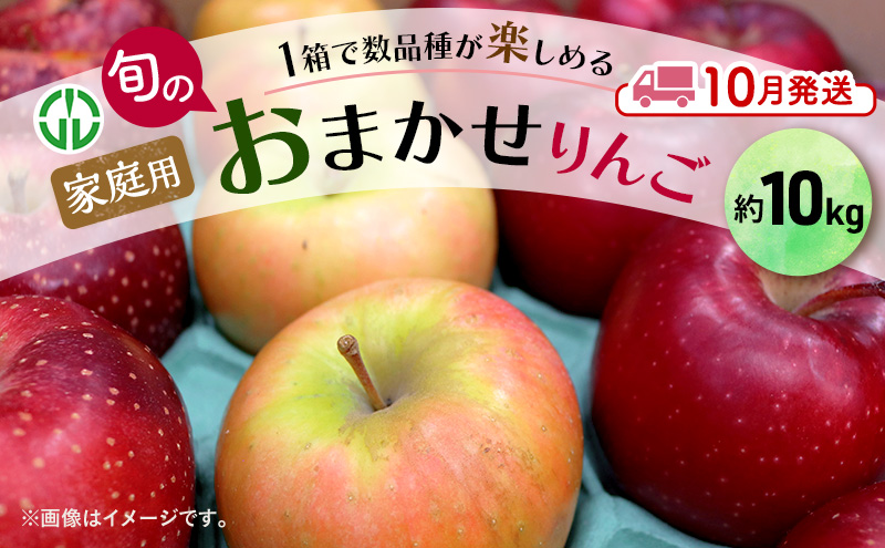 りんご 【 10月発送 】 家庭用 旬のりんご 品種おまかせ 約 10kg 2品種～4品種 果物類 フルーツ 林檎 リンゴ 鶴田町 青森県 おやつ デザート