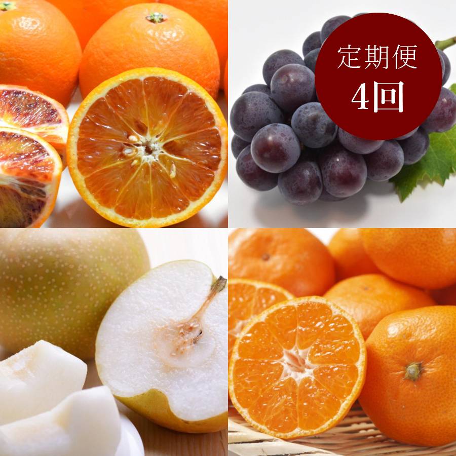 和歌山県産秀品セレクト旬のフルーツ定期便（4回）