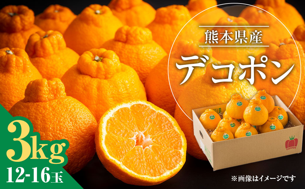 
熊本県産 デコポン 3kg 果物 フルーツ くだもの 柑橘 みかん 蜜柑 【2025年3月上旬発送開始】
