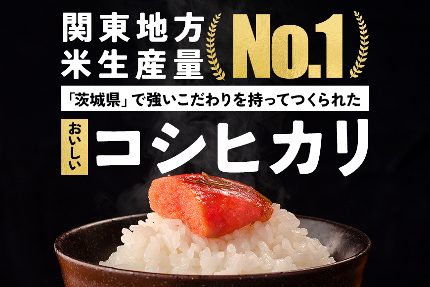 【3カ月定期便】 令和7年度 笠間産 コシヒカリ 10kg (10kg×3回 計30kg) 精米 定期便 米 白米 こめ コメ ご飯 ごはん 農家直送 産地直送 国産 茨城県 笠間市 青木商店 【6月