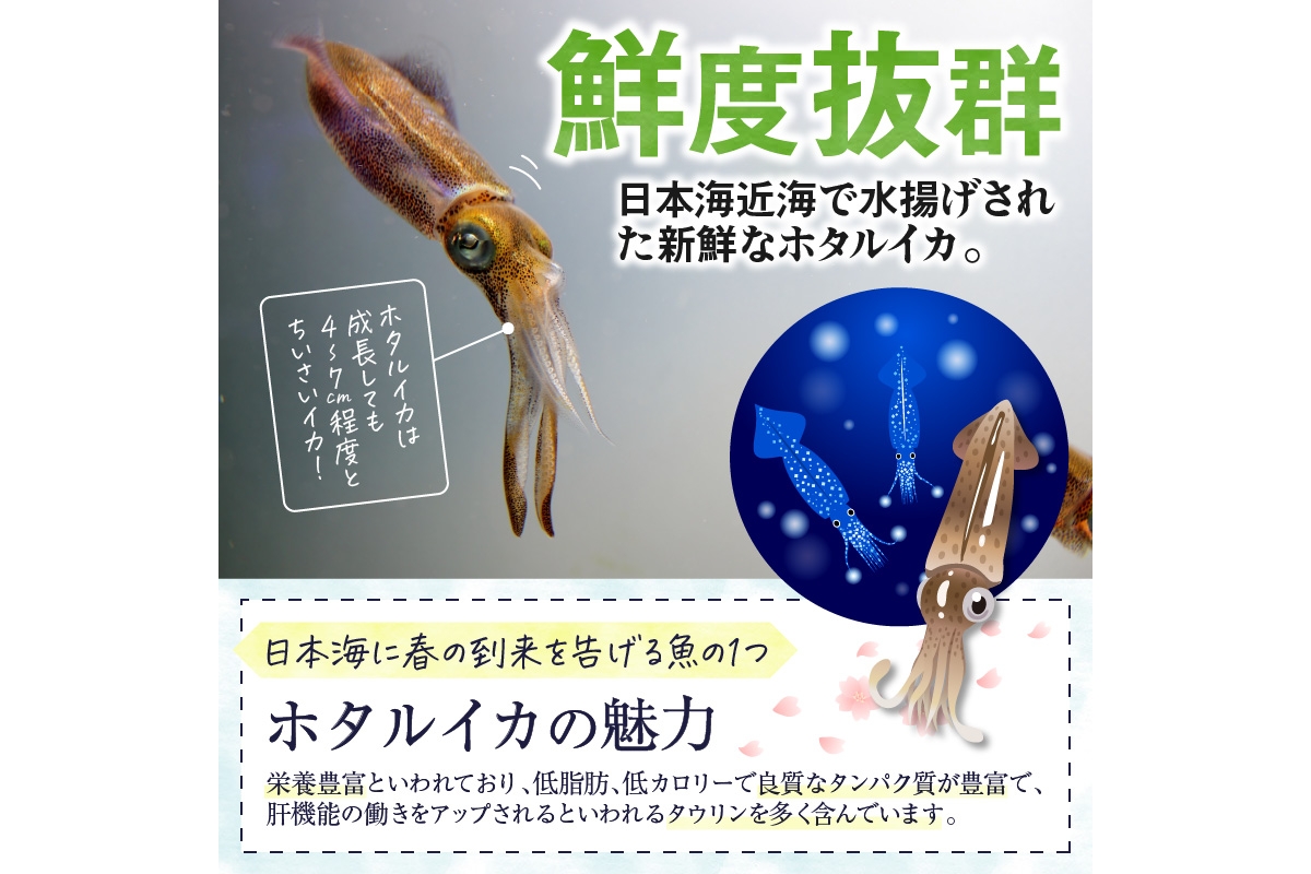 魚屋が漬けるホタルイカの沖漬け　10パック（1パック180g）計約1.8kg　ふるさと納税 ほたるいか 沖漬け 新鮮 海鮮 沖漬け 酒 つまみ 酒の肴 日本酒 おつまみ 珍味 日本海産