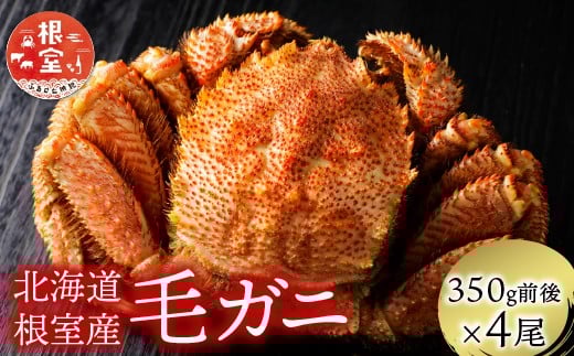C-21005【12/21まで年内配送】 【北海道根室産】毛がに350g前後×4尾