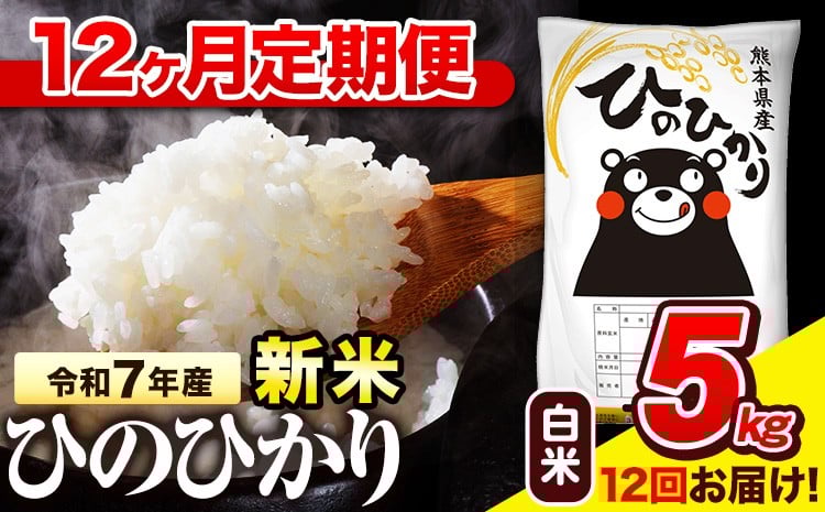 
                   令和7年産 白米 【12ヶ月定期便】 ひのひかり 5kg《お申込み翌月から出荷》 熊本県産 白米 精米 氷川町 ひの 送料無料 ヒノヒカリ コメ 便利 ブランド米 お米 おこめ 熊本
                