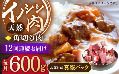 【12回定期便】ジビエ 天然イノシシ肉 角切り肉 600g（カレー・シチュー）【照本食肉加工所】 [OAJ046]