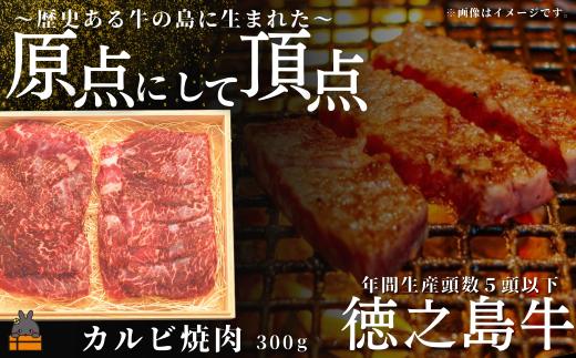 2528 南原（はいばる）牧場 幻の徳之島牛 カルビ焼肉 300g  ( 厳選 焼肉 プレミアム 高品質 鹿児島黒毛和牛 黒毛和牛 牛肉 万能 料理 徳之島 奄美 鹿児島 和牛ギャング )