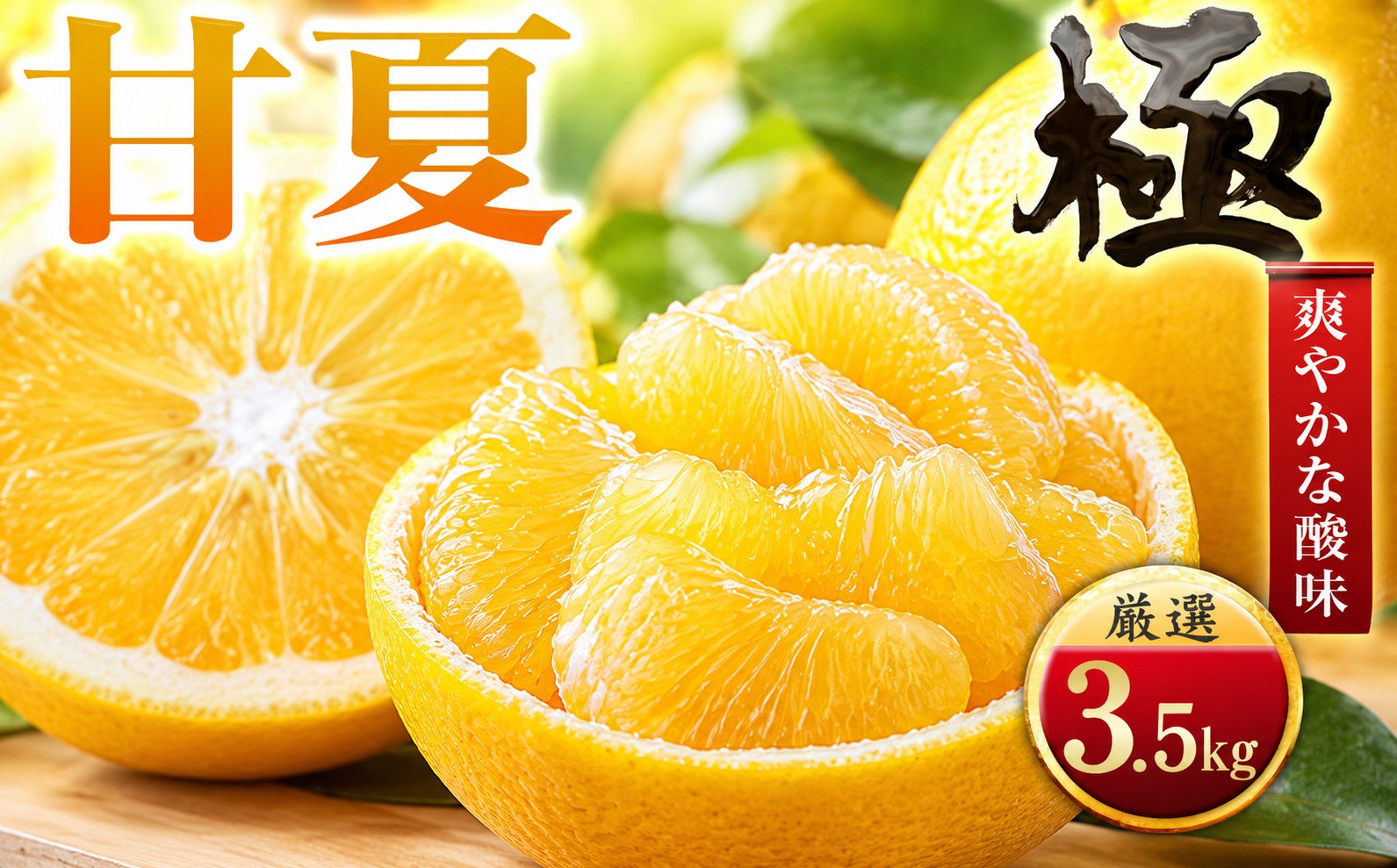 
                  【先行受付】【クセになる爽やかさ】甘夏【極】3.5kg愛媛県産【C49-84】ふるさと納税 果物 くだもの あまなつ みかん ミカン 蜜柑 柑橘 フルーツ 選べる 3.5kg 6kg 12kg 内容量 期間限定 季節限定 特産品【1621796】 YWTZ101
                